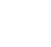Logo SNPS